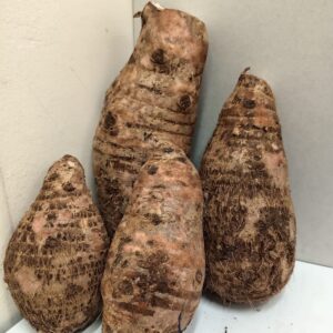 FRESH COCOYAM