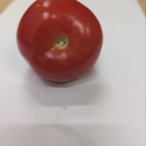 FRESH TOMATOES (SMALL)