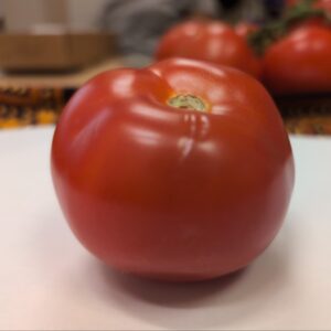 FRESH TOMATOES CARTON