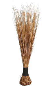 AFRICAN BROOM