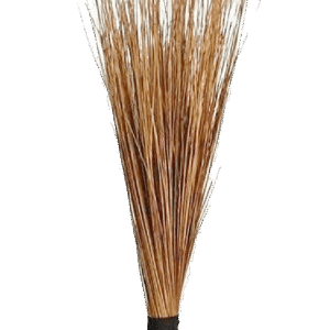 AFRICAN BROOM