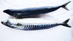MACKEREL FISH PACK