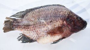 TILAPIA PACK
