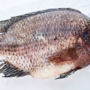 TILAPIA PACK
